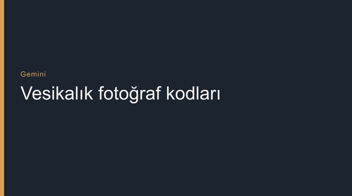 Gemini ile Vesikalık Fotoğraf Yapma: Türkçe Kopyala-Yapıştır Kodlar - ilgili yazı görseli